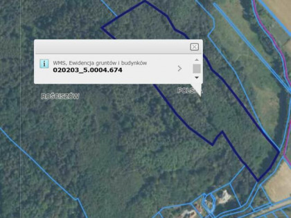 DWIE DZIAŁKI W PIESZYCACH! - SPRZEDAM - CENA DO NEGOCJACJI