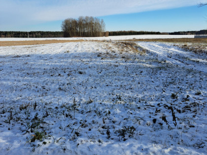 Działka Turośń Kościelna ul. Wschodnia