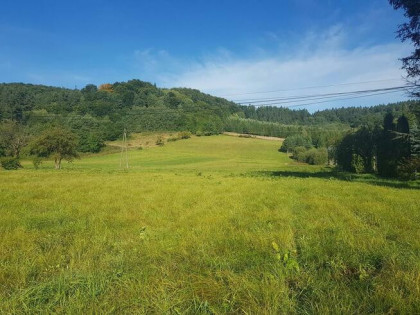 OKAZJA! Piękna 15-arowa działka w Bieszczadach