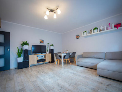 Sprzedam mieszkanie 2 pokojowe, parter, 50m2