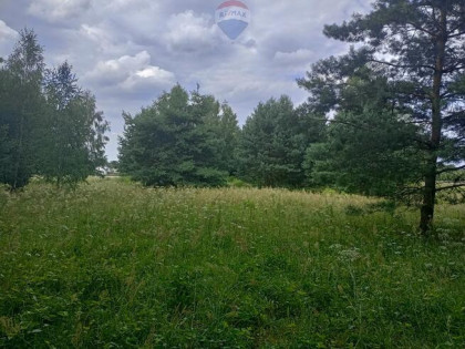 Działka leśno-rolna, Ruda, Tarczyn,blisko S7