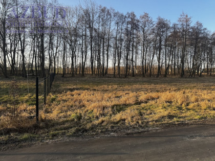 Działka Rybno Wielkie ul.  