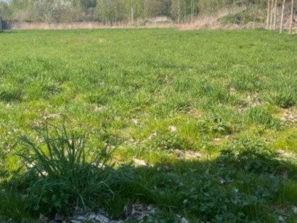Działka 900m2 przy lesie Komorowskim!