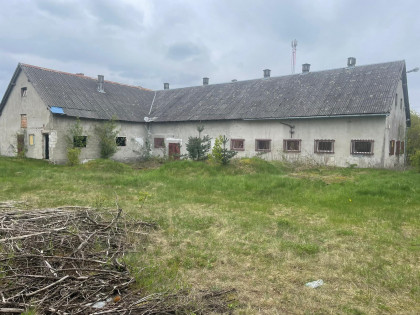 Lokal Żabi Róg ul. Żabi Róg