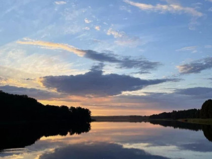 Działka Kotkowo