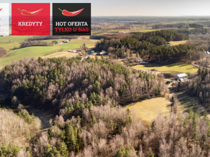 Działka Kieleńska Huta ul. Morelowa