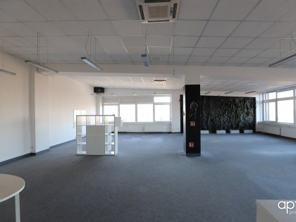 Lokal Kraków Grzegórzki