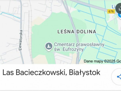 Sprzedam działki leśne