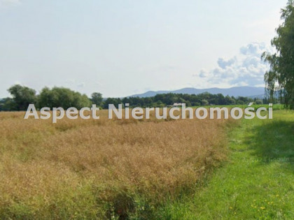 Działka Kozakowice Dolne Kozakowice Dolne