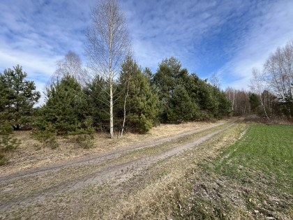 Działka o  pow. 1,63 ha w Karolowie gm. Chotcza.