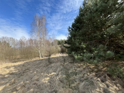 Nietypowa działka 2 ha w Kawęczynie gm. Ciepielów