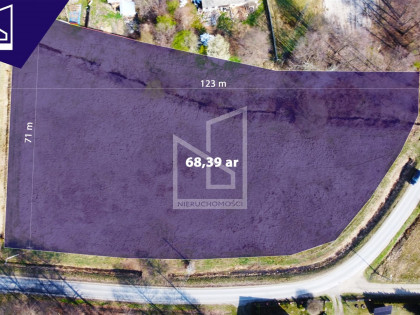 Działka Trzęsówka