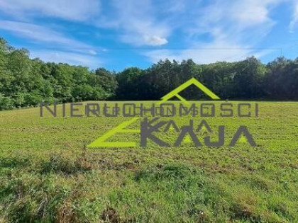 Atrakcyjnie położona działka przy lesie
