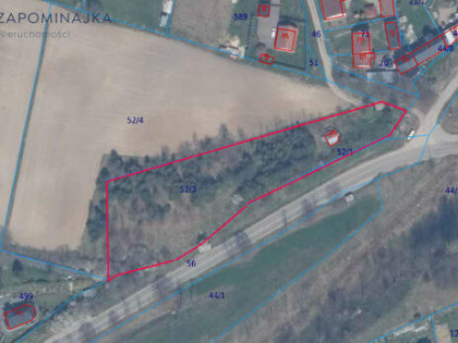 Działka leśna Prokowo gm. Kartuzy, Leśna