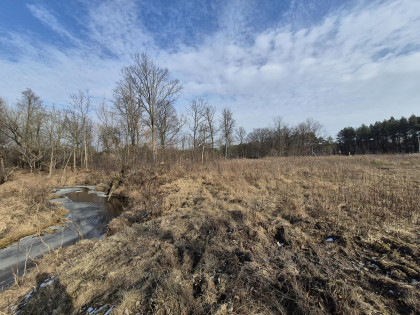 Działka Wiązowna