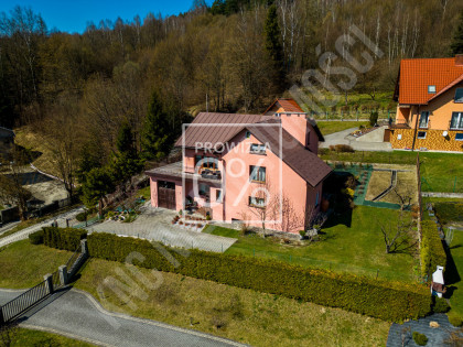 Dom przy lesie z pięknym widokiem na góry