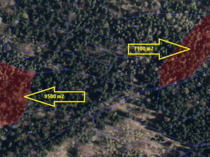 Działki leśne o powierzchni 2,18 ha