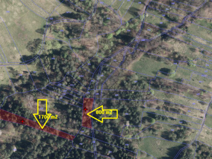 Działki leśne o powierzchni 2,18 ha