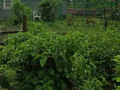 ROD Warszawskie na Rakowickiej