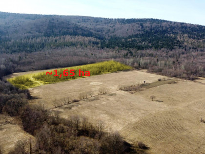 Działka Pielgrzymka