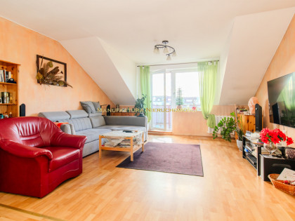 Bez zezwolenia | Idealne dla rodziny!