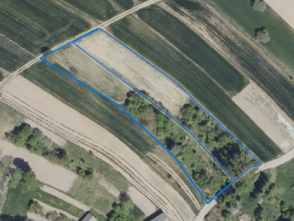 Krzczonów, Sobieska Wola Pierwsza, Działka, 52ar Sobieska Wola Pierwsza