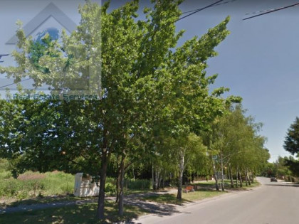 Lokal Warszawa Ursynów, Dąbrówka