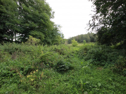 Działka Bystrzyca Górna