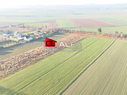 Działka Bolesławice