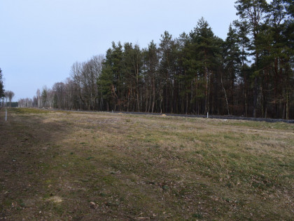 Działki 10a pod zabudowę pod lasem- Widełka