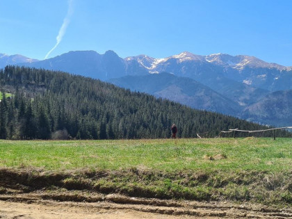 Działka Kościelisko