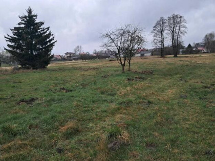 Atrakcyjne działki w Malcanowie, obok szkoły, autobusu