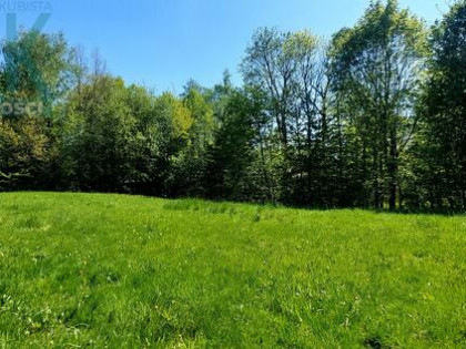 Działka budowlana Ustroń, Graniczna