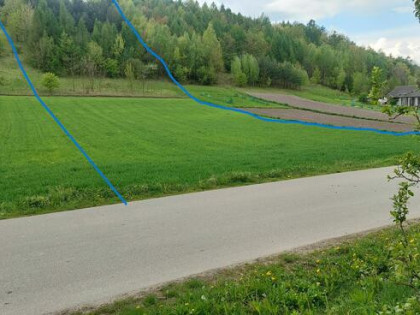 Atrakcyjna działka budowlana z prywatnym lasem