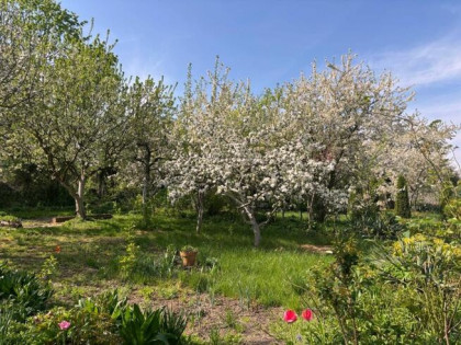 Działka rekreacyjna Legnica,