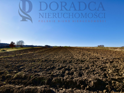 Działka Ryczów ul. Spacerowa