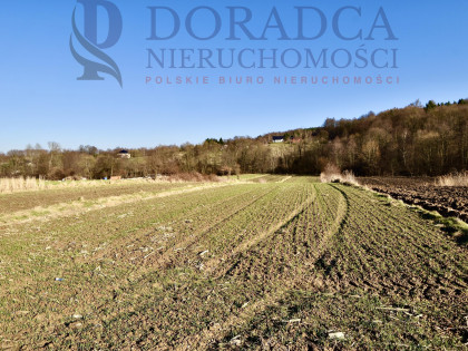 Działka Ryczów ul. Spacerowa