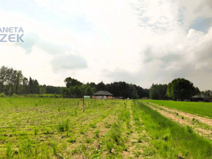 Działka Orły-Cesin ul.  