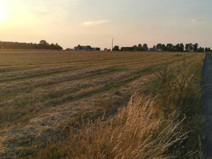 Sprzedam działki a w pobliżu Radomia 45 zł za 1m2