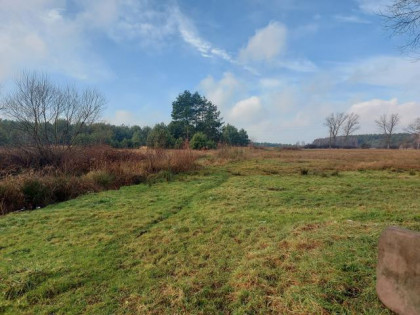 Działka Chruszczobród