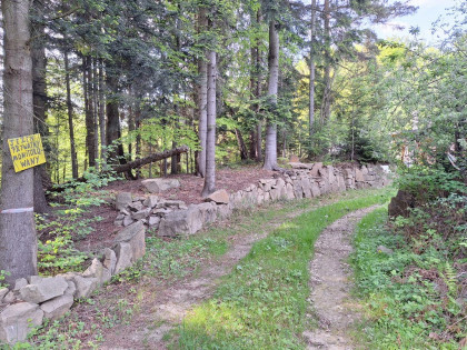 Pcim - 1,32 ha blisko natury, wysoki potencjał!