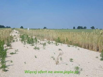 Działka budowlana Krążkowo gm. Złotniki Kujawskie