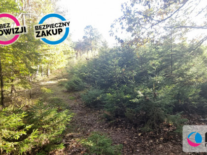 Działka Bieszkowice ul.  