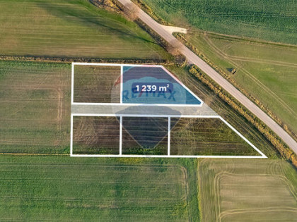 Znajdź swój kącik w Dobrzycy: Działki od 55 tys.zł