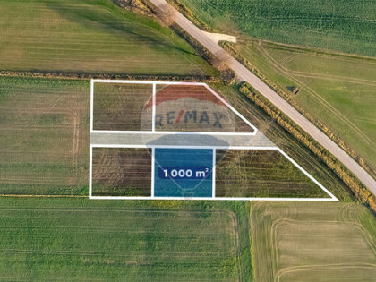 Działki rolno-budowlane w Dobrzycy!!!