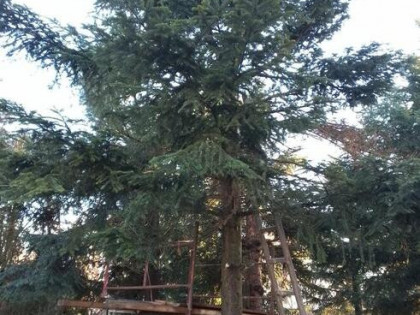 Działka budowlana w Żywcu pod grojcem