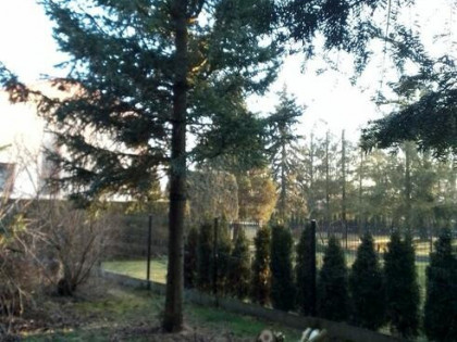 Duży dom plus osobna działka w Żywcu