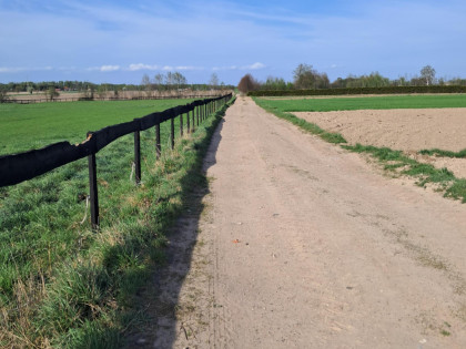 Na sprzedaż działka z warunkami zabudowy w Eufeminowie
