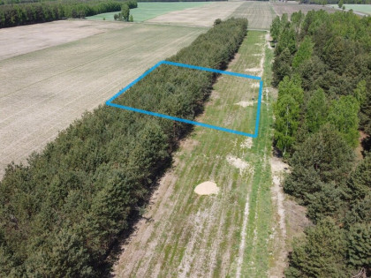 Działka z WZ w Wólce Gonciarskiej gm. Kazanów.