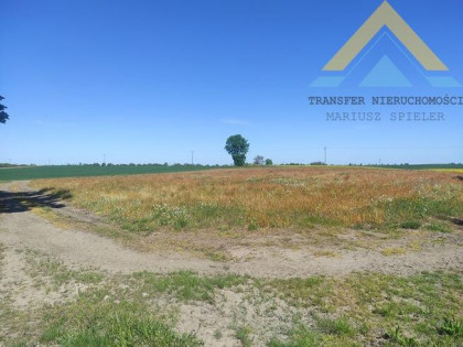 Duża działka budowlana Raduń , 3002 m2, 160 tys.!
